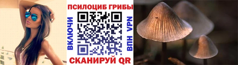 Купить где  Ковдор  Галлюциногенные грибы ЛСД 